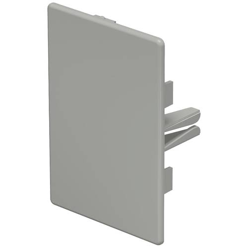 OBO Bettermann 6022502 Endstück (B x H) 60 mm x 90 mm 10 St. Stein-Grau