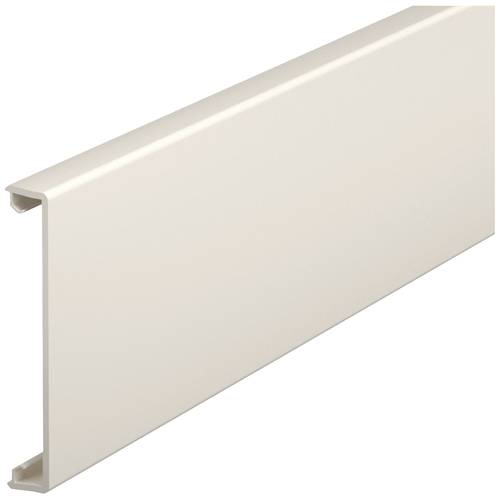 Thumbnail - OBO Bettermann 6278681 Montagezubehör (L x B) 2000 mm x 76.5 mm 1 St. Creme-Weiß