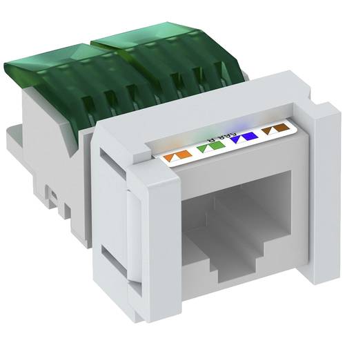 OBO Bettermann ASM-C5 S RJ45-Einbaumodul CAT 5e
