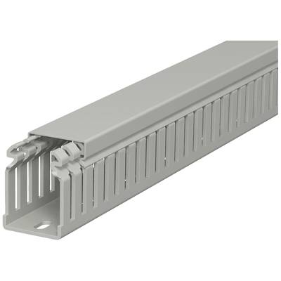OBO Bettermann 6178312 Verdrahtungskanal (L x B x H) 2000 x 37.5 x 50 mm 1 St. Stein-Grau