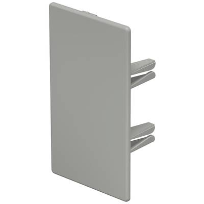 Rechteckiger Kunststoffstecker mit drei parallelen Lamellen, seitlich herausragend. Verwendet zur Abdeckung einer Steckdose.