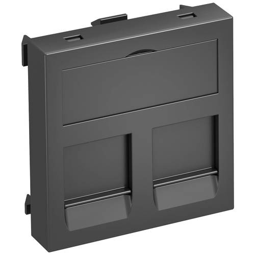 OBO Bettermann 6119204 Abdeckung Datentechnikträger (B x H x T) 45 x 45 x 9 mm 1 St. Grau