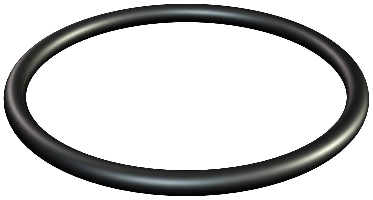 OBO Bettermann 2088762 171 M40 Dichtring Gummi 1 St.