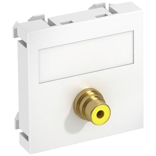 OBO Bettermann 6104994 Abdeckung Multimediaträger (B x H x T) 45 x 45 x 9 mm 1 St. Weiß