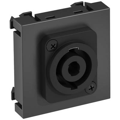Ein schwarzer XLR-Steckverbinder mit quadratischer Befestigung und zwei sichtbaren Schraubenlöchern an diagonalen Ecken.