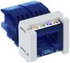 OBO Bettermann ASM-C6 S RJ45-Einbaumodul CAT 6