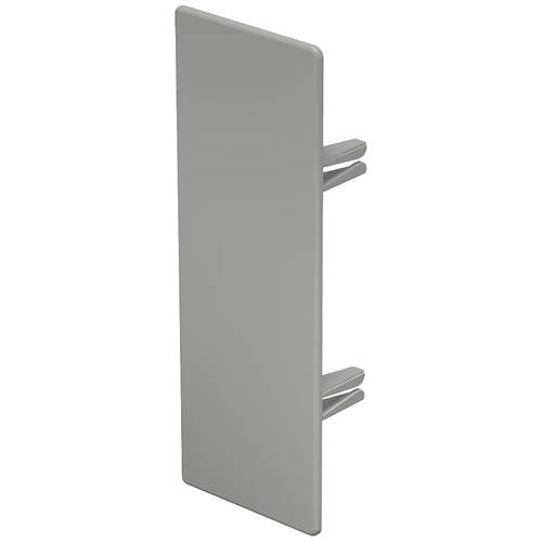 OBO Bettermann 6022545 Endstück (B x H) 60 mm x 170 mm 10 St. Stein-Grau