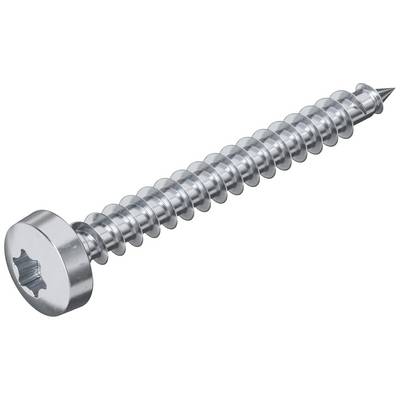 Metallschraube mit schlitzförmigem Kopf und spitzer Spitze, geeignet für Wand- und Möbelmontagen.