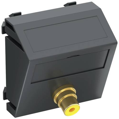 OBO Bettermann 6105009 Abdeckung Multimediaträger (B x H x T) 45 x 45 x 26 mm 1 St. Grau