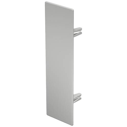 OBO Bettermann 6183867 Endstück (B x H) 60 mm x 210 mm 10 St. Lichtgrau