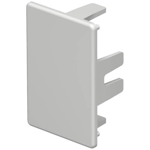 OBO Bettermann 6183700 Endstück (B x H) 45 mm x 30 mm 10 St. Lichtgrau