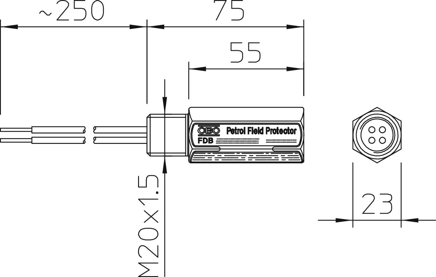 Zeichnung eines Petrol Field Protectors mit Maßen: Länge 250 mm, Breite 55 mm, M20x1.5. Detaillierte technische Darstellung.