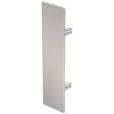 Ein weißes, rechteckiges Kunststoffteil mit zwei parallelen Befestigungsstiften, vermutlich ein Teil eines modularen Systems oder Möbelstücks.