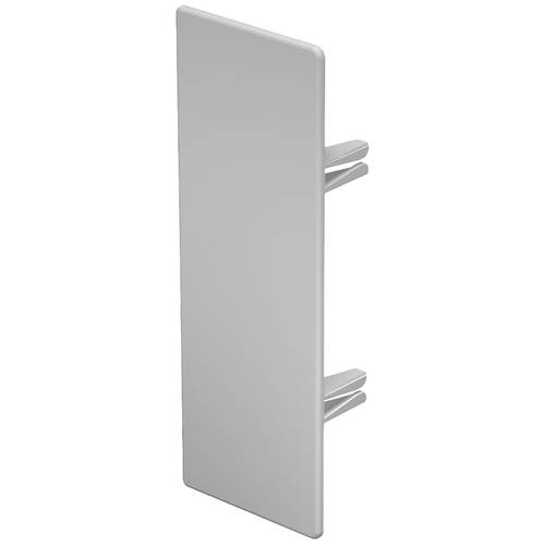 OBO Bettermann 6183859 Endstück (B x H) 60 mm x 170 mm 10 St. Lichtgrau