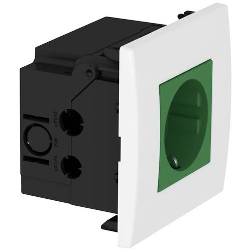 OBO Bettermann 6119402 Geräteeinsatz Steckdose (B x H x T) 84 x 84 x 60 mm 1 St. Grün