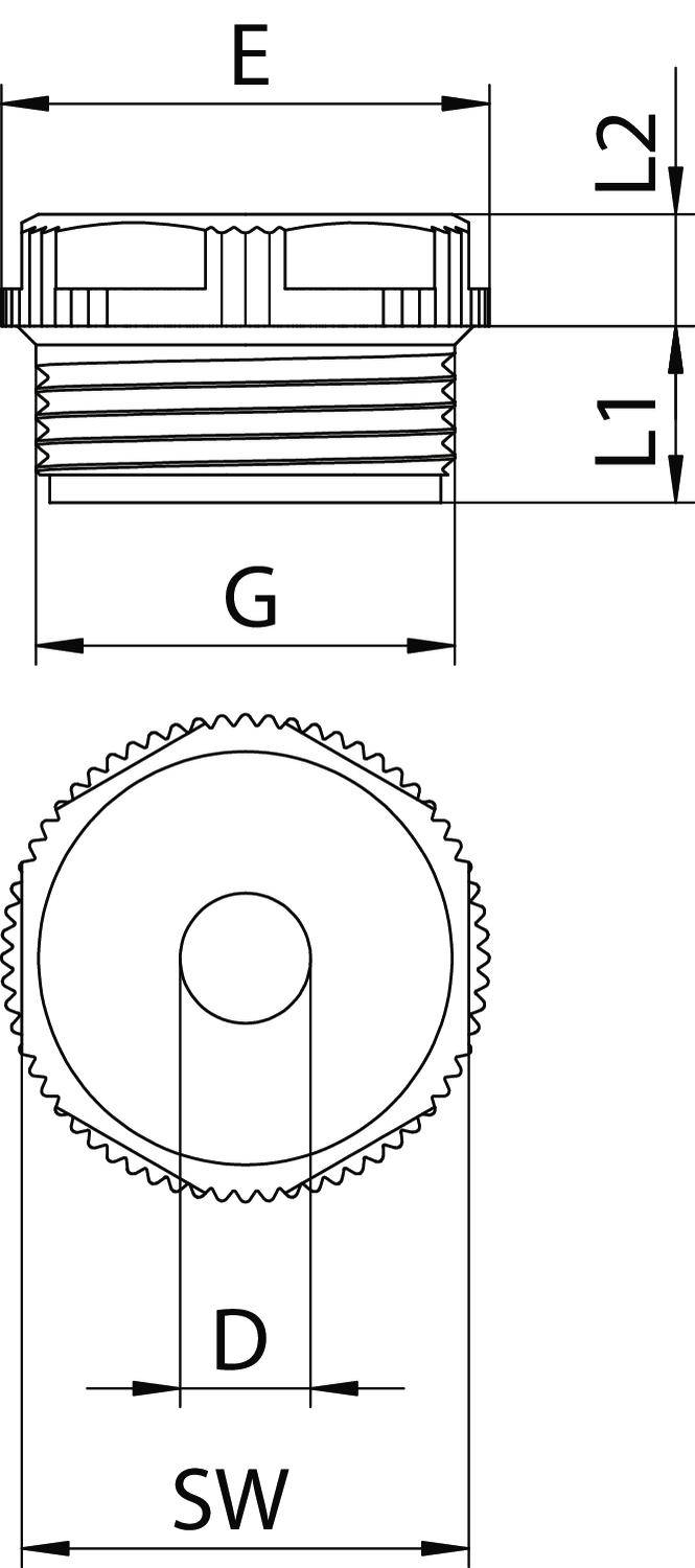 Technische Zeichnung eines Schraubverschlusses mit Maßangaben E, G, L1, L2, D und SW in der Seiten- und Draufsicht.