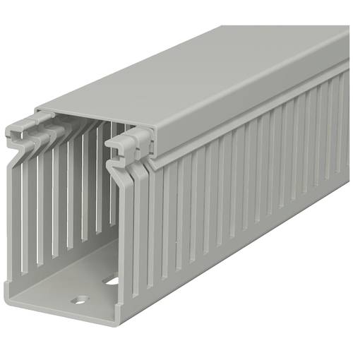 OBO Bettermann 6178031 Verdrahtungskanal (L x B x H) 2000 x 40 x 60 mm 1 St. Stein-Grau