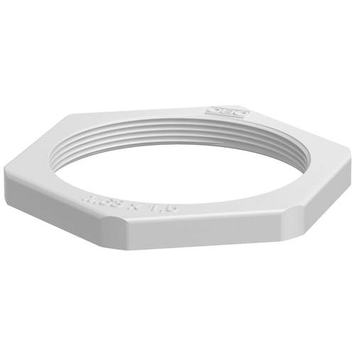 OBO Bettermann 2049589 116 M63 LGR PS Gegenmutter PG63 Kunststoff Lichtgrau 1 St.