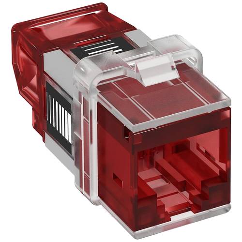 OBO Bettermann ASM-C6A RJ45-Einbaumodul CAT 6a