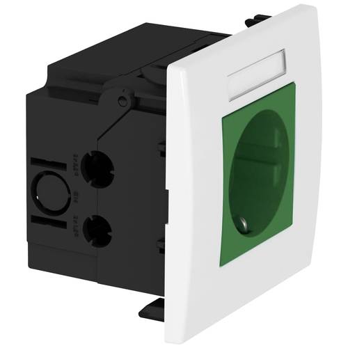 OBO Bettermann 6119422 Geräteeinsatz Steckdose (B x H x T) 84 x 84 x 60 mm 1 St. Grün