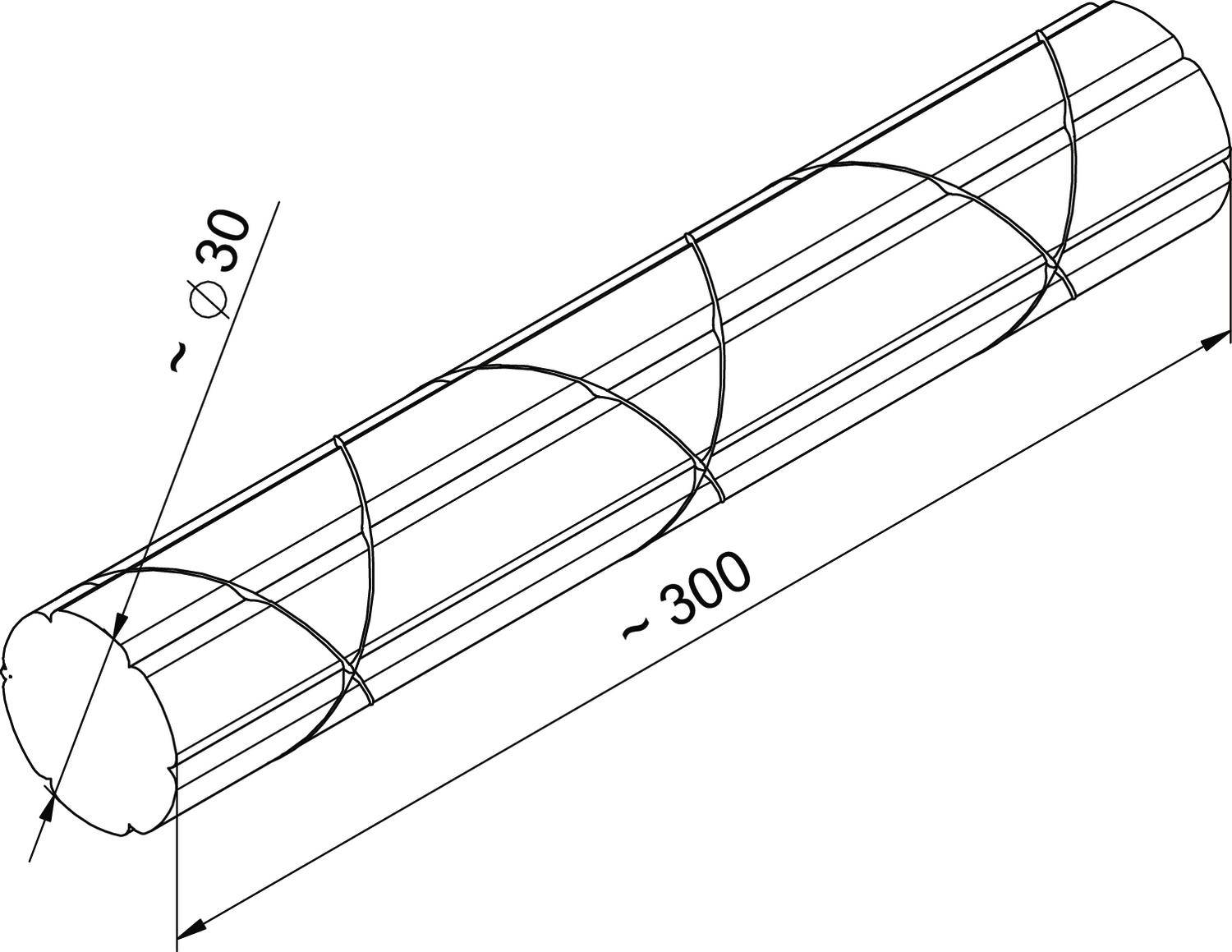 Isometrische Zeichnung eines runden Stabs mit einem Durchmesser von etwa 30 mm und einer Länge von etwa 300 mm, maßstabsgetreu dargestellt.