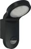 ESYLUX AOL 100 LED 5K sw EL10750014 Wandleuchte mit Bewegungsmelder LED fest eingebaut 14 W LED Schwarz