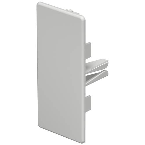 Thumbnail - OBO Bettermann 6183743 Endstück (B x H) 40 mm x 90 mm 10 St. Lichtgrau