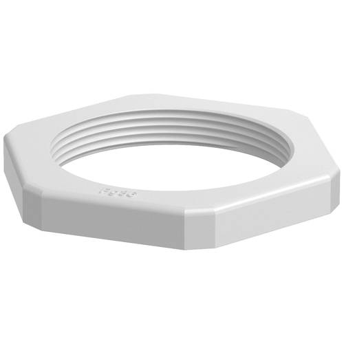 OBO Bettermann 2043351 116 PG36 Gegenmutter PG36 Kunststoff Lichtgrau 1 St.