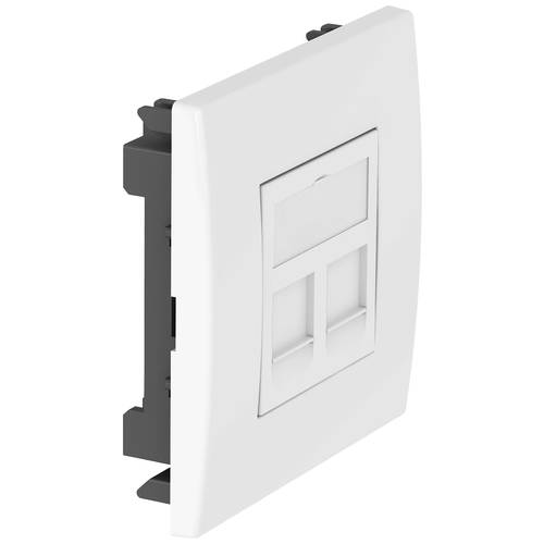 OBO Bettermann 6119494 Montagezubehör Datentechnikmodul (B x T) 84 mm x 24.3 mm 1 St. Weiß