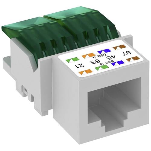 OBO Bettermann ASM-C5 RJ45-Einbaumodul CAT 5e