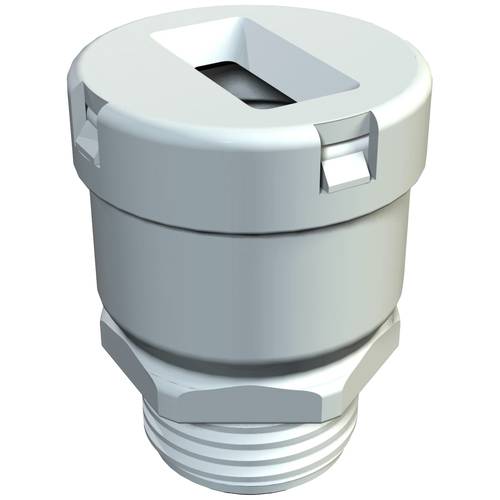 OBO Bettermann 2012758 Kunststoff Dunkelgrau 50 St.