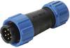 Deltron Connectors DELKSP1310/P5I Rundsteckverbinder Stecker, gerade Gesamtpolzahl: 5 1 St.