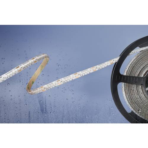 Thumbnail - Barthelme 51540134 51540134 LED-Streifen mit offenem Kabelende 24 V 5 m Kaltweiß 1 St.