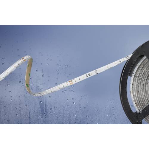 Barthelme 51540334 51540334 LED-Streifen mit offenem Kabelende 24 V 5 m Kaltweiß 1 St.