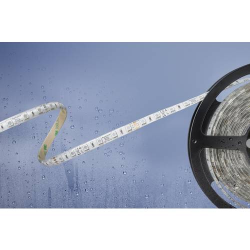 Barthelme 51540831 51540831 LED-Streifen mit offenem Kabelende 24 V 5 m RGB 1 St.