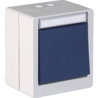 Ein blauer Lichtschalter mit rechteckigem, cremefarbenem Gehäuse, geeignet für die Wandmontage.