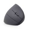 Gembird MUSW-ERGO-01 Ergonomische Maus Funk Optisch Schwarz 6 Tasten 1600 dpi Ergonomisch