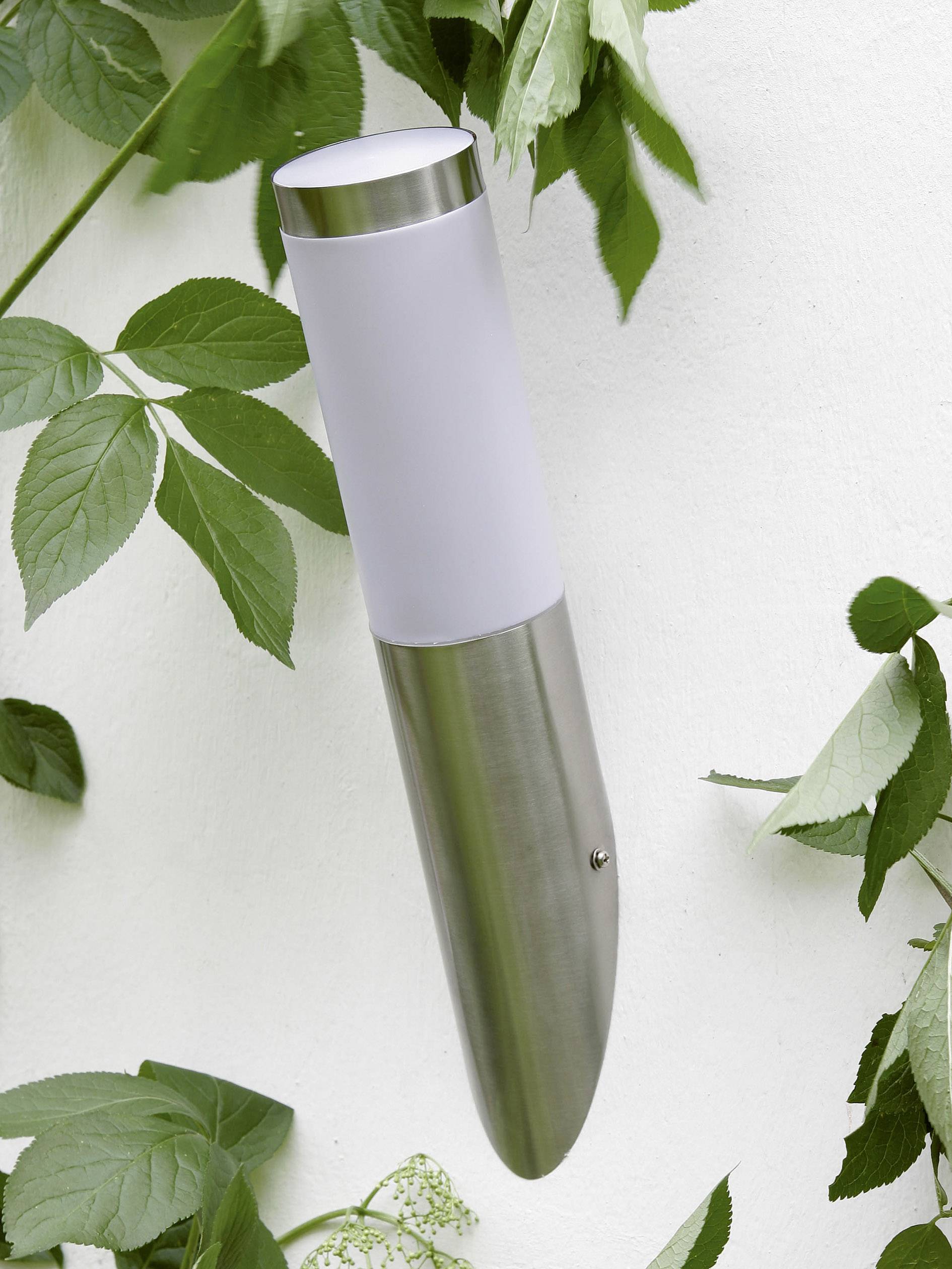 Eine moderne Außenlampe aus Edelstahl und Glas ist an einer weißen Wand montiert, umgeben von grünen Blättern.
