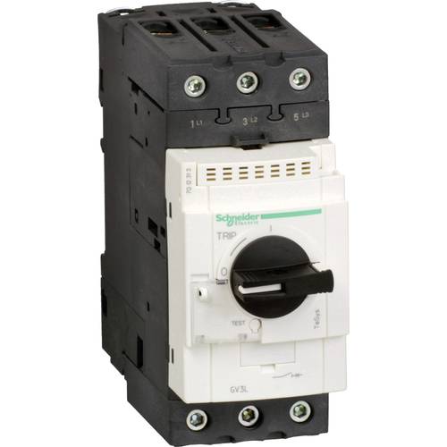 Schneider Electric GV3L40 GV3L40 Motorschutzschalter 1 St.