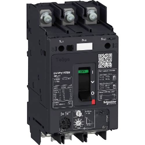 Schneider Electric GV4PE25B GV4PE25B Motorschutzschalter 1 St.