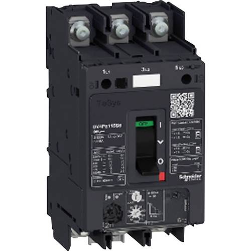 Schneider Electric GV4PE50N6 GV4PE50N6 Motorschutzschalter 1 St.