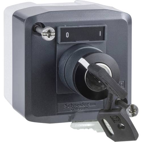 Schneider Electric XALD144E XALD144E Aufbaugehäuse Grau 1 St.