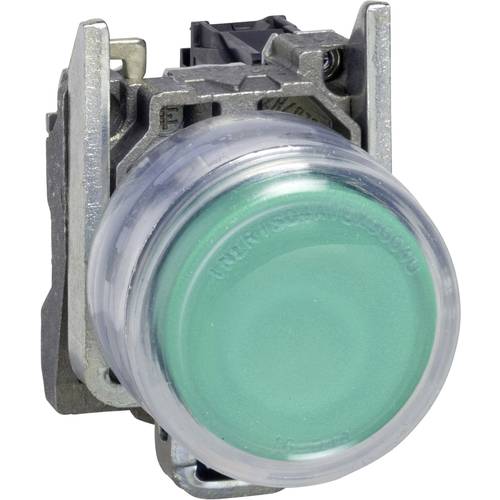 Schneider Electric XB4BP31 XB4BP31 Drucktaster 600 V 6 A tastend 1 St.