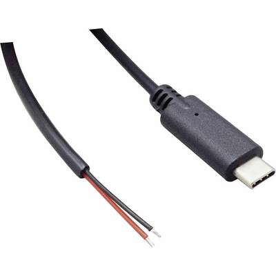 Ein USB-C-Kabel mit offenem Ende, das schwarze und rote Drähte zeigt.