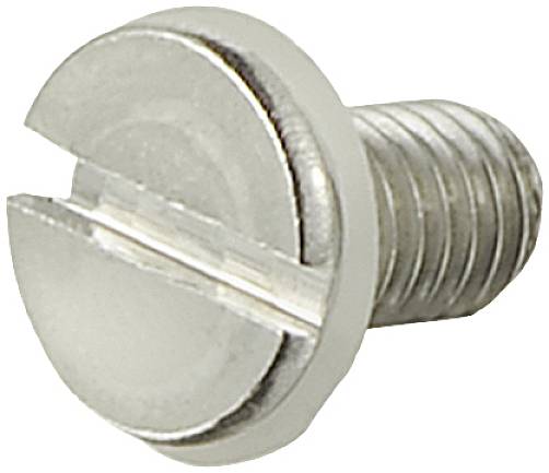 Eine silberne Metallschraube mit Schlitzkopf, geeignet für allgemeine Befestigungsanwendungen.