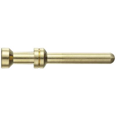 Goldfarbener Metallstift, zylindrisch geformt, mit zwei Ringen, vermutlich ein Steckverbinder oder Kontaktstift.