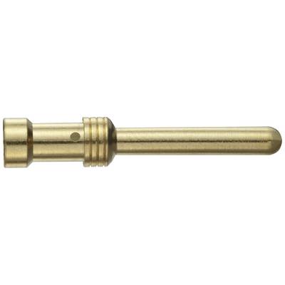 Ein goldfarbener, metallischer Stift mit mehreren Rillen, möglicherweise ein elektrischer Kontakt- oder Verbindungsstift.