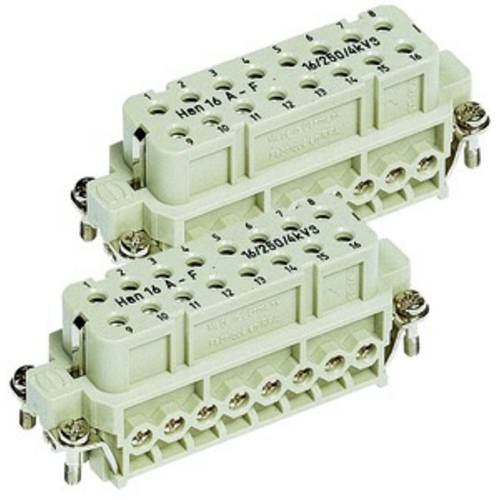 Thumbnail - 09200162815 HARTING Han 16A Buchseneinsatz (F) Schraubanschluss, 16-polig+PE 250V, 16A - 1 Stück
