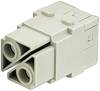 HARTING Han 100 Ampere Modul Buchseneinsatz (F) Axialschraubanschluss, 2-polig 1000V, 100A - 1 Stück