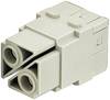 HARTING Han 100 Ampere Modul Buchseneinsatz (F) Axialschraubanschluss, 2-polig 1000V, 100A - 1 Stück
